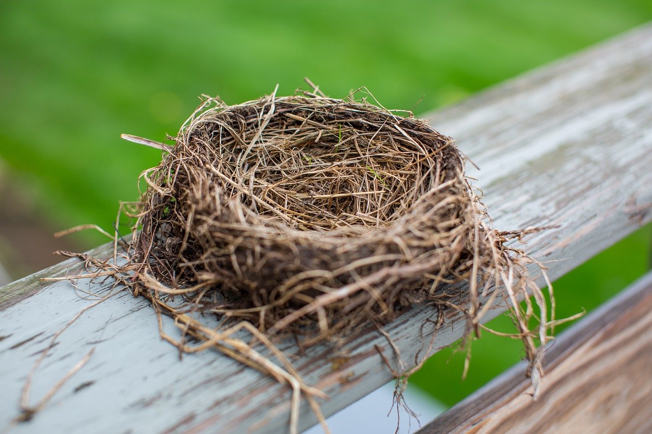 Organizing the Empty Nest! - Ducks In A Row Organizers
